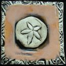 sand dollar tile