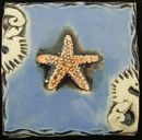 starfish tile